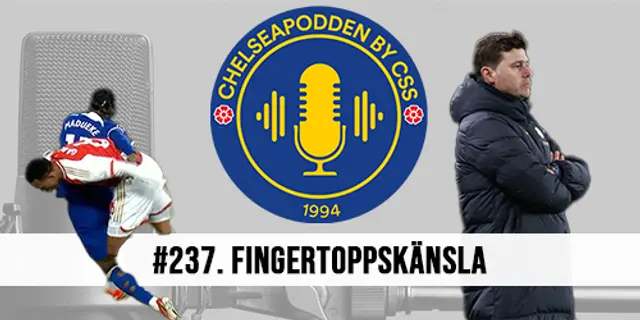 #237. Fingertoppskänsla