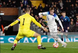 Cole Palmer/Chelsea FC