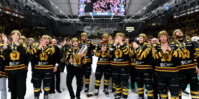 Så spelar SHL-lagen under försäsongen
