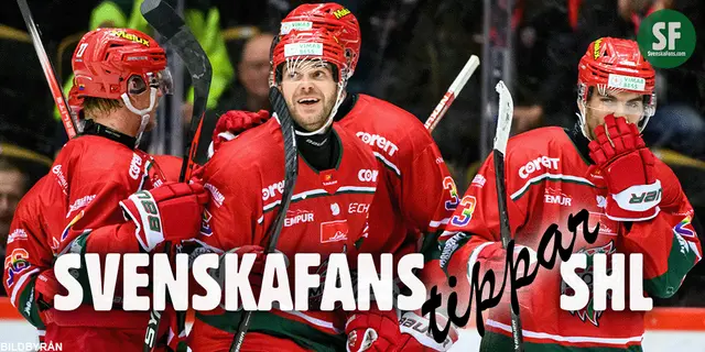 SvenskaFans tippar SHL: 10. MoDo – ”Har gjort uppgraderingar”