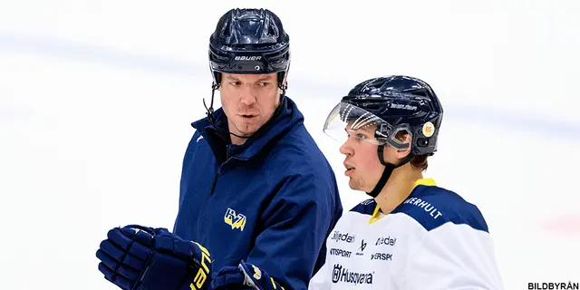 HV71 gör tränarbyte – Blomqvist får lämna efter två säsonger
