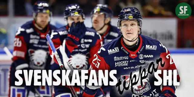 SvenskaFans tippar SHL: 7. Linköping – "Lyser av kontinuitet och ett lugn"