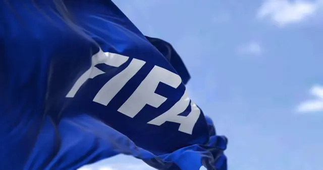 Bosnien står kvar i FIFA-rankingen