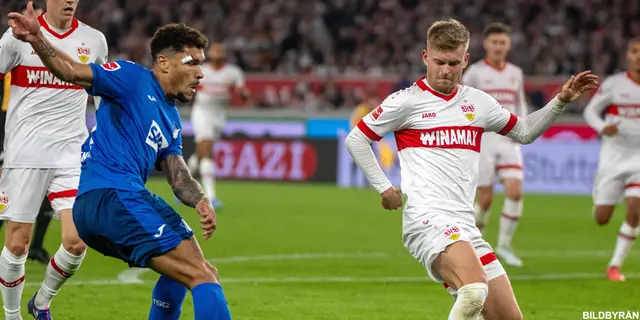 VfB - Hoffenheim 1-1