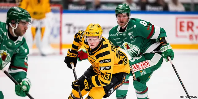 33. Zeb Forsfjäll