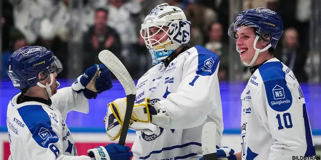 Inför Linköping - Leksand: Hockeytorsdag