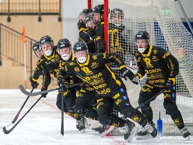 Elitserien: Flipp eller Flopp... SF synar lagen/spelarnas start av säsongen