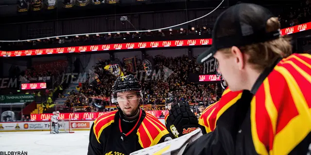 WESTERGREN: "Det är en bra dag att vara brynäsare"