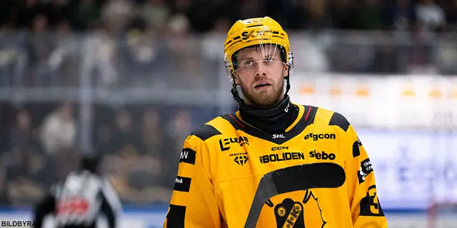 3. Victor Grahn