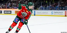 Henrik Tömmernes
