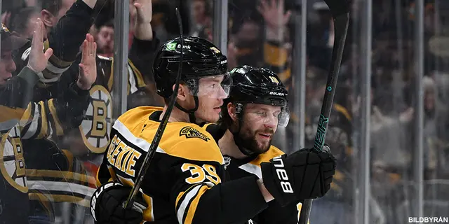 Bruins shoppar Zacha?