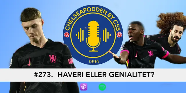 #273: Haveri eller genialitet?