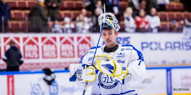 Sportchefens lovord: ”Bäste målvakten ska stå”