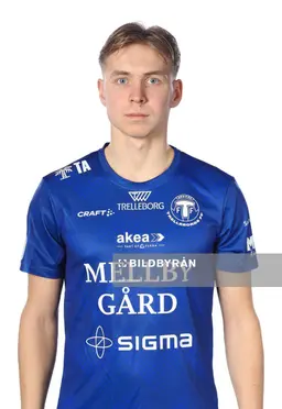 Axel Vidjeskog