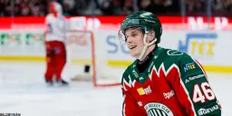 Dominik Egli