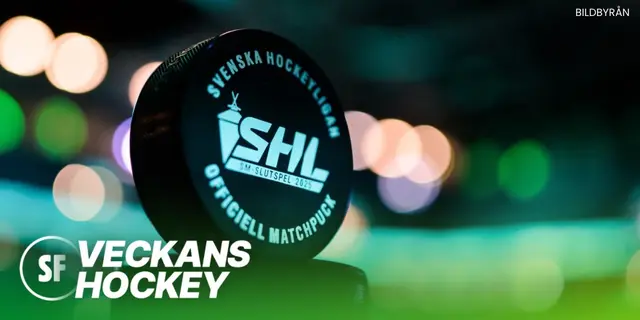 Veckans SHL: Slutspelsfokus