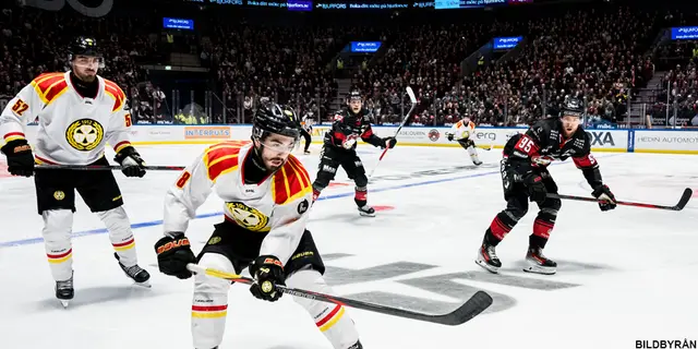 WESTERGREN: "Brynäs får se det här som en väckarklocka"