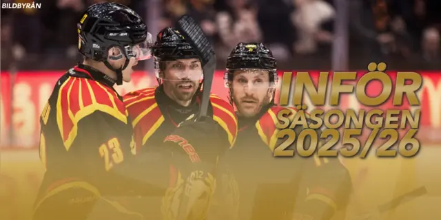 Brynäs överens med NHL-meriterade forwarden