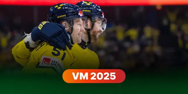 "Sverige kan känna sig trygga"