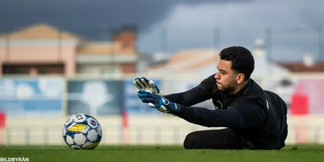 31. David Mikhail