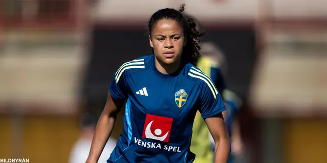 Inför Italien - Sverige: Början av VM-kvalet