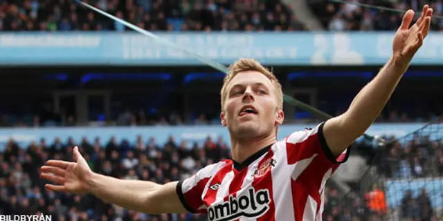 Sebastian Larsson kan missa EM