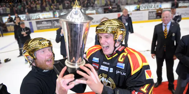 Brynäsbloggen: David mot Goliat