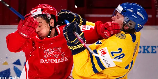 Bildspecial från segern mot Danmark