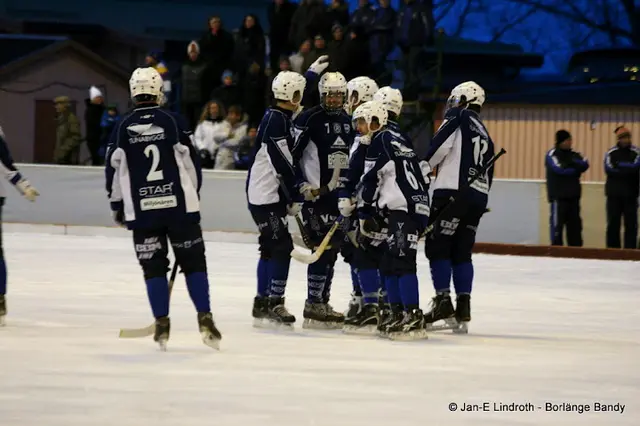 Borlänge Bandy - Laget som kom in från kylan och nu utmanar bandy-bourgeoisien 