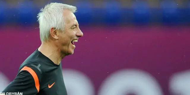 Bert van Marwijk avgår som förbundskapten