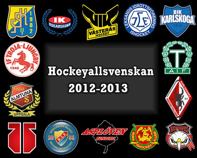 Matchprogram & Resultat 2012-2013