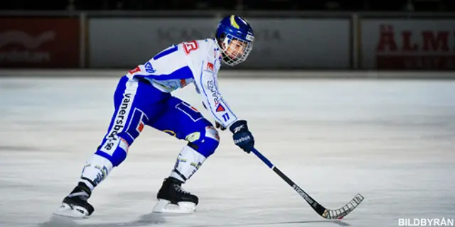 Berner & Fagerström show mot Gripen