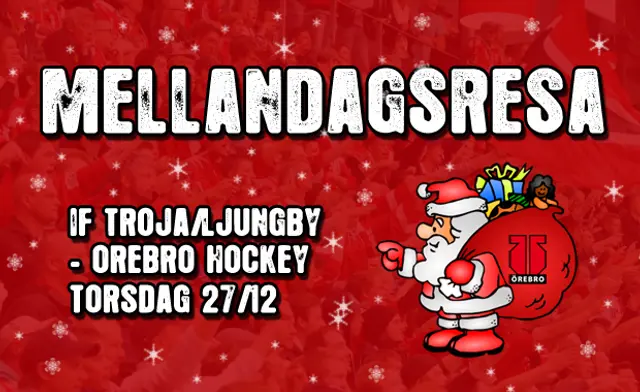 Mellandagsresa till Ljungby