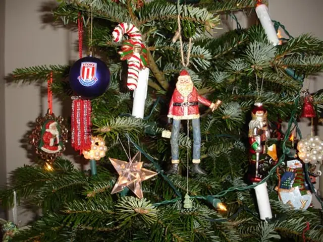 What is hanging on your Christmas Tree?