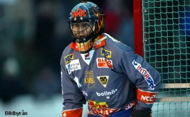 VM-spelarna ser fram emot Elitserien