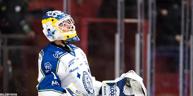 Hockeysvepet - streckstrider, kontraktsförlängningar och skadeproblematik