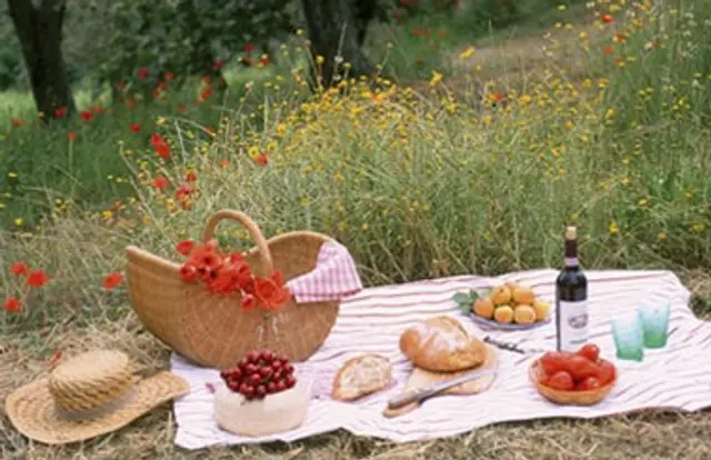 M&aring;ndag morgon: och ig&aring;r var det picknick i Trelleborg 