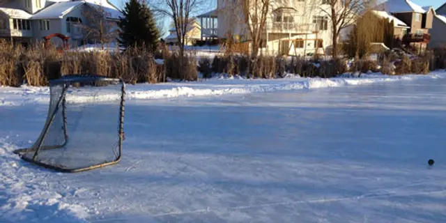 Wild i Minnesota - Två månader i "The state of Hockey"