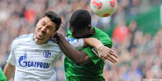 Inför: Schalke 04 - Werder Bremen