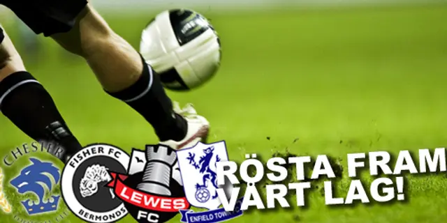 Rösta fram Euro Talks lag i England