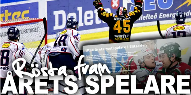 Rösta fram årets motspelare 2012/2013!