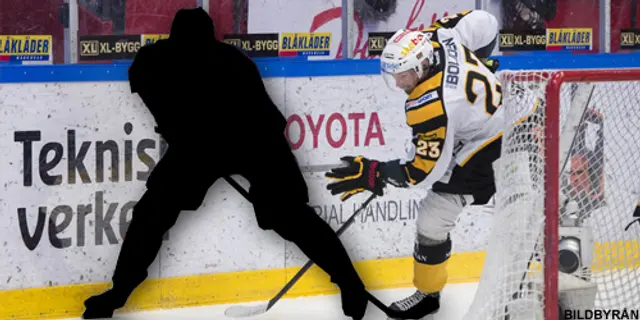 Säsongens lag i Elitserien - forward (II)