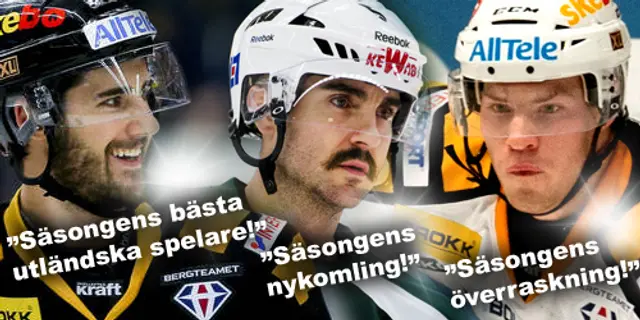 Säsongens överraskning, nykomling och utländska spelare