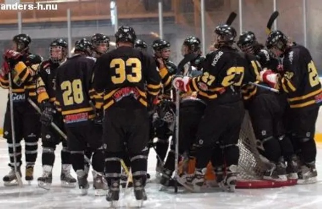 Det &auml;r Ishockeyf&ouml;rbundets ansvar 