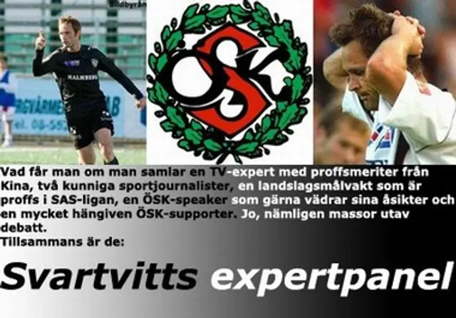 Svartvitts expertpanel (2)