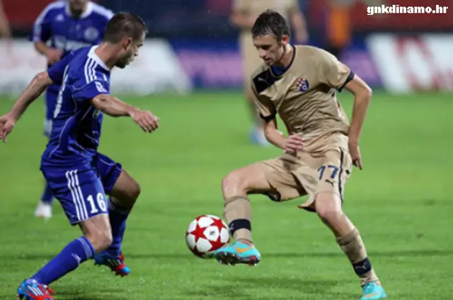 Marcelo Brozovic