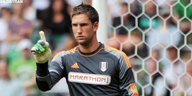 Maarten Stekelenburg