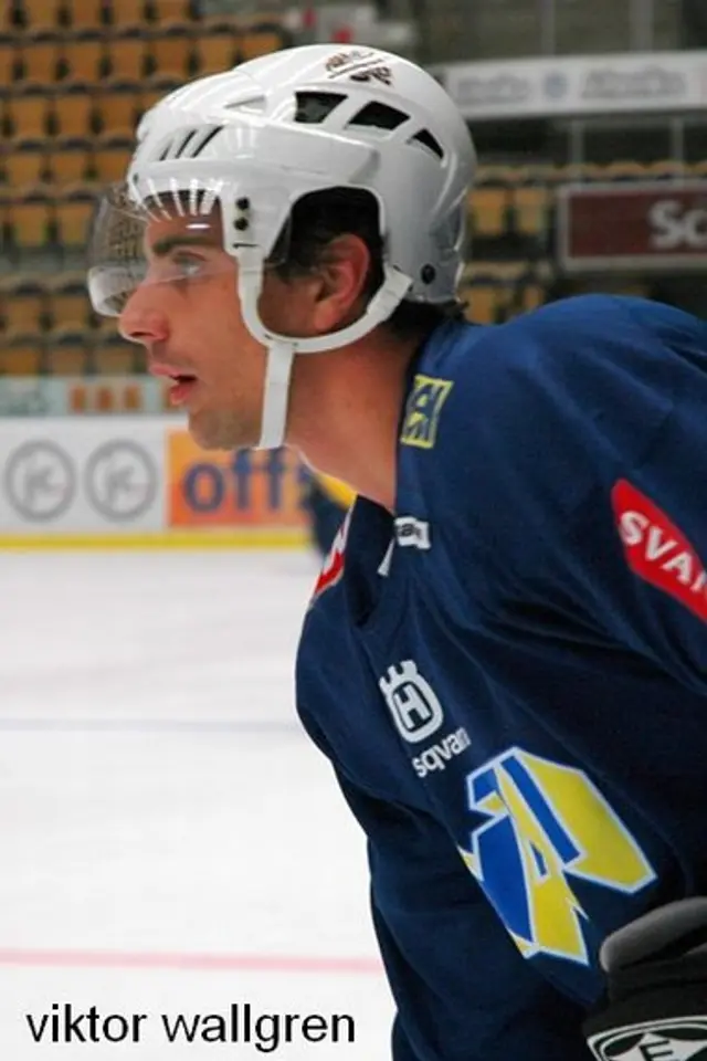 Spelarbetyg HV71