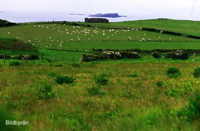 &Aring;ker du med till Irland?