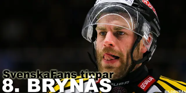 SvenskaFans tippar SHL: #8 - ”Det kan gå hur som helst”